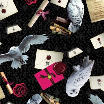 Harry Potter  Ugler med post