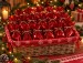 Quilte.nets JULEKALENDER -liten